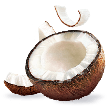 Mamie Nova - Ingrédient Yaourt Gourmand® aux fruits Noix de Coco