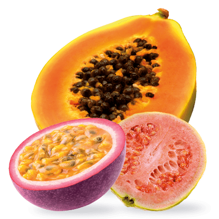 Mamie Nova - Ingrédient Yaourt Gourmand® aux fruits Tropical