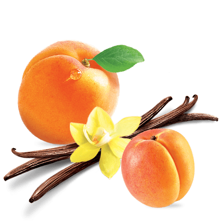 Mamie Nova - Ingrédient Crème & Fruit Abricot Vanille